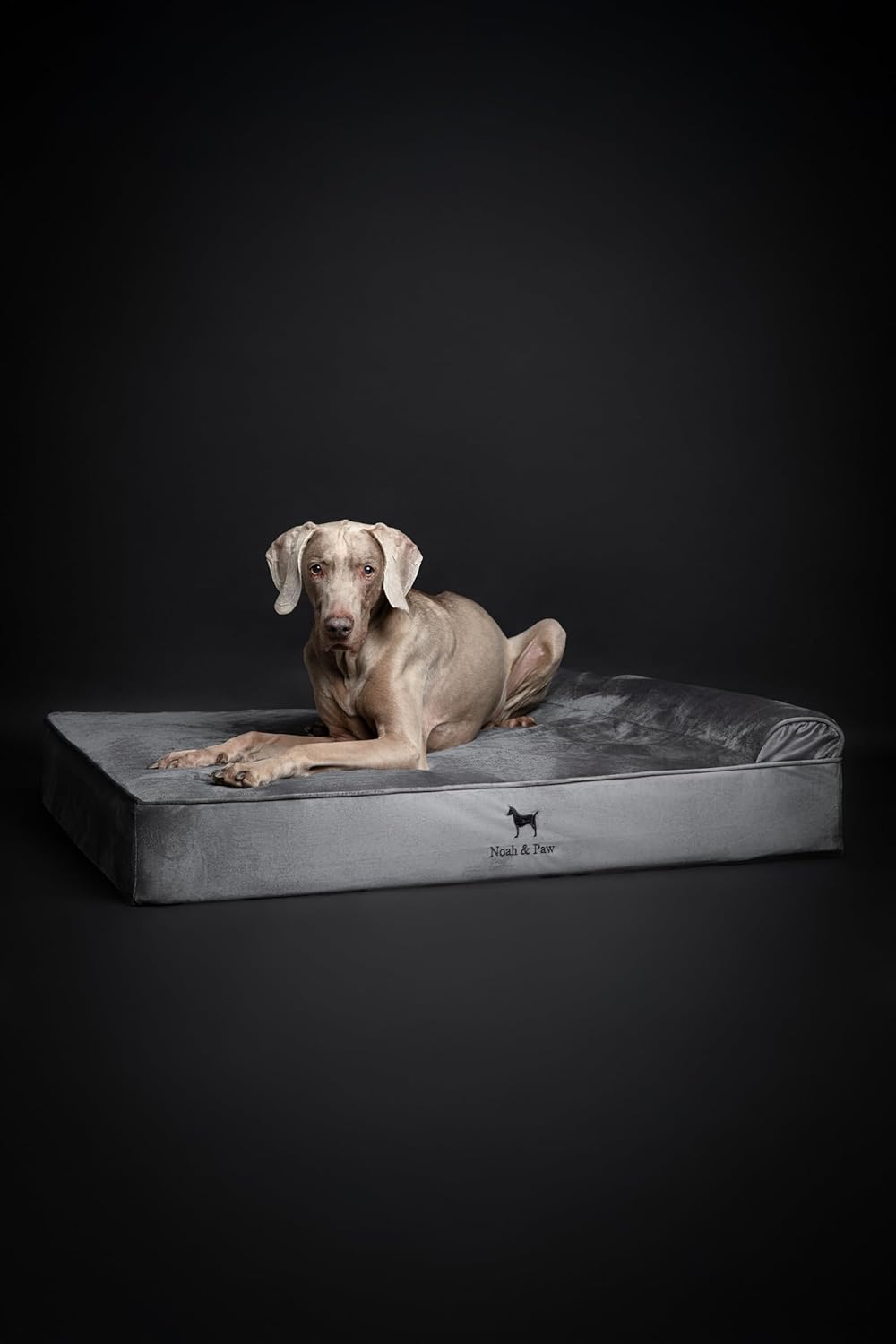 NOAH & PAW XL Dog Bed, 45x35x9.1 Inch, Orthopedic Large Dog Beds, Eggshell Memory Foam Infused with Cooling Gel, Waterproof, Machine Washable, Includes Inner Cover (Velvet Collection)