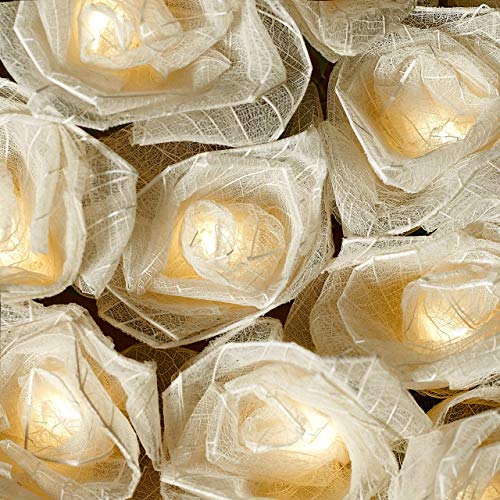 Blaze On Cabbage Rose Fairy Lights (Cream) – 20 Warm White LED Lights – Handcrafted Roses Created from Real Rubber Tree Leaves – USB Powered with UK 3-Pin Adapter – Indoor Decorative String Lights