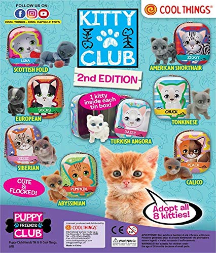 MVS Wholesale Confezione da 10 Mini barattoli e Figurine di gattini in edizione floccata Casuale Kitty Club (Serie 2) - Ideale per riempire o riempire la Borsa da Festa