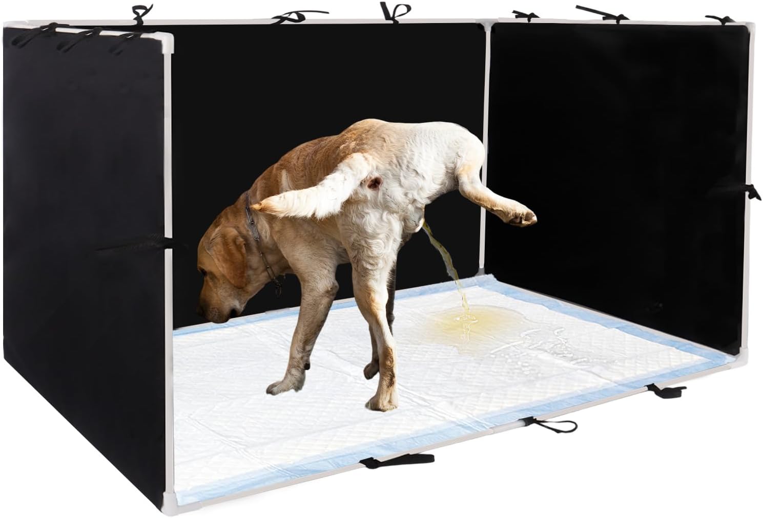 Dog Pee Pad Holder with High Walls – 35″x29″x17.3″ No-Splash Indoor Potty Tray, Foldable Dog Litter Box for Small/Medium Dogs Puppy Potty Training (Black)
