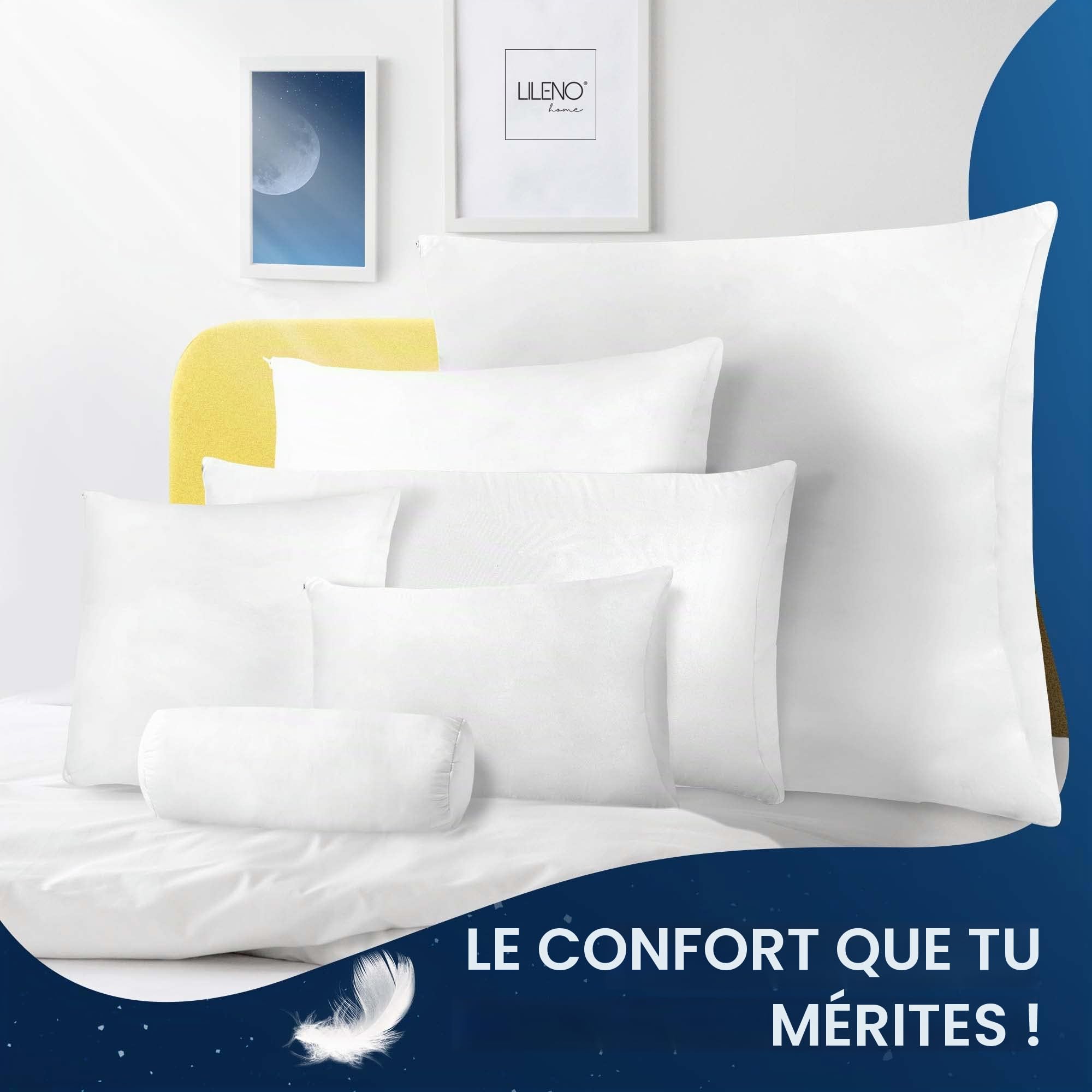LILENO HOME Lot de 2 coussins en plumes, 40 x 40 cm, utilisables comme oreiller, coussin couchage et lit, conviennent aux personnes souffrant d'allergies enfants, à ressorts, avec rembourrage 300 g