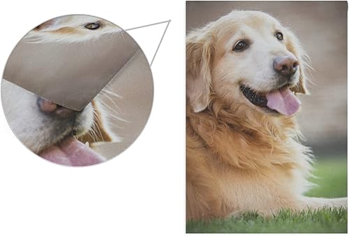 Miniatura 3 de BlueViper Golden Retriever - Bandera de jardín de perro de 12 x 18 pulgadas, bandera decorativa de jardín para césped y jardín al aire libre,