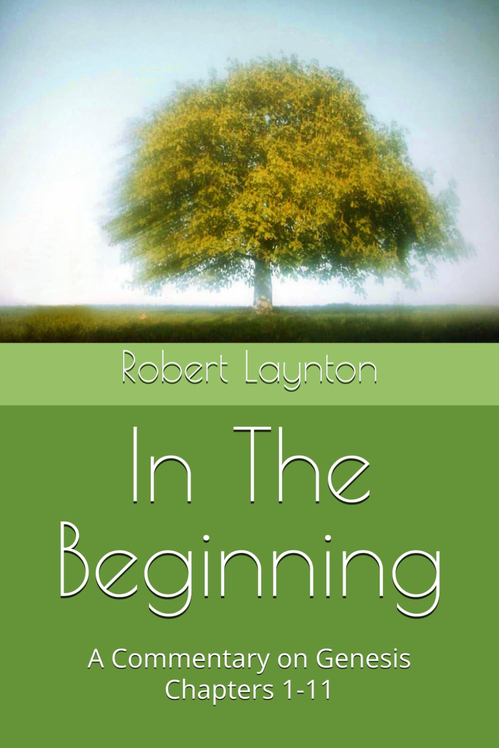 In The Beginning: A Commentary on Genesis Chapters 1-11