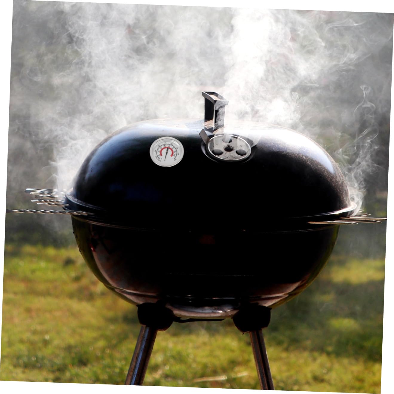 BESPORTBLE 5pezzi Termometro Da Forno Bimetallico Per Bbq e Cucina Misurazione Precisa Della Temperatura Design Compatto e Facile Da Usare Per Grigliate e Cottura Forno