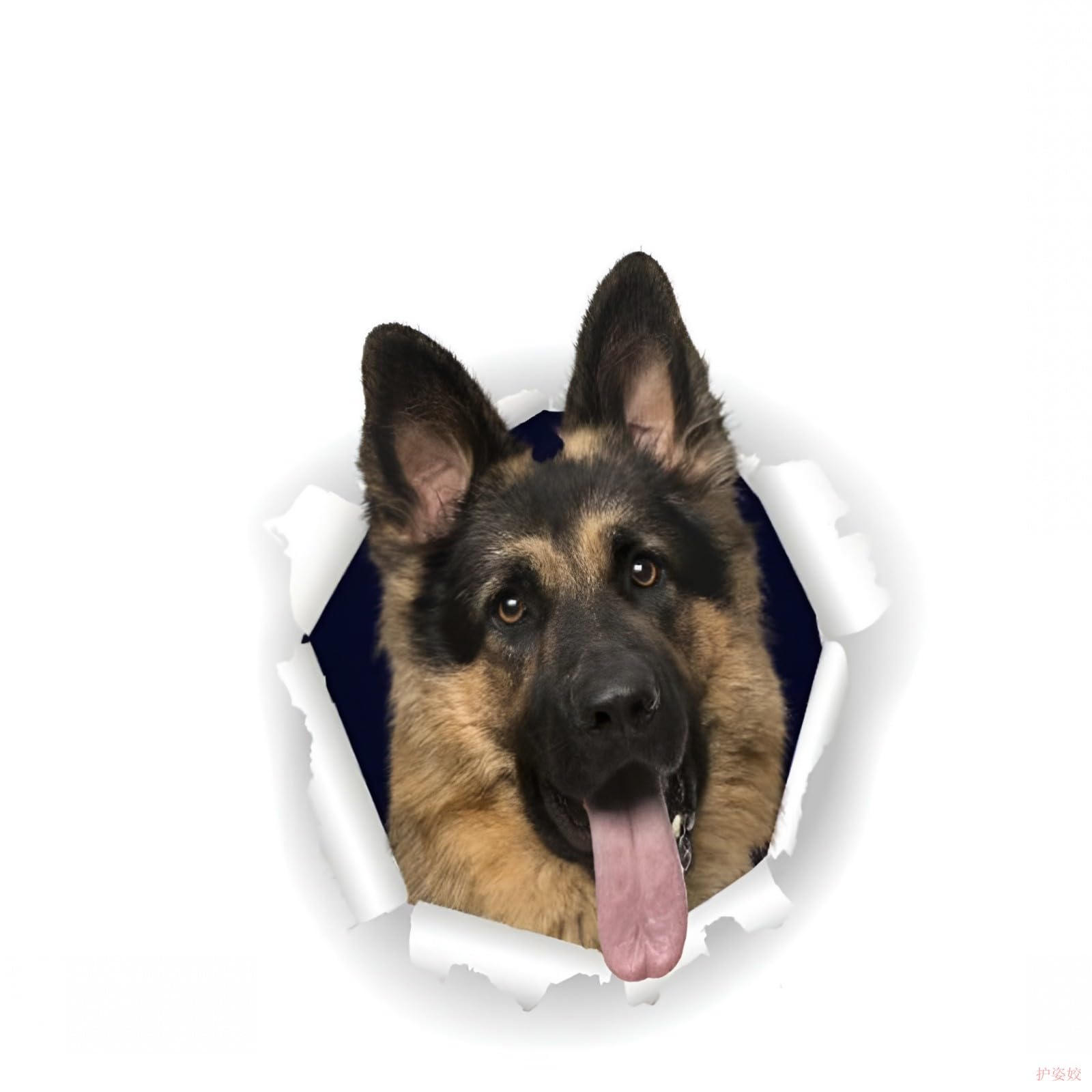 Car Stickers 18 Cm Deutscher Schäferhund Autoaufkleber German Shepherd Reflektierende Aufkleber Wasserfester Haustier Hund Zerrissenes Aufkleber Auto Stoßstange Kofferraum Heckscheibe Dekor D2005#