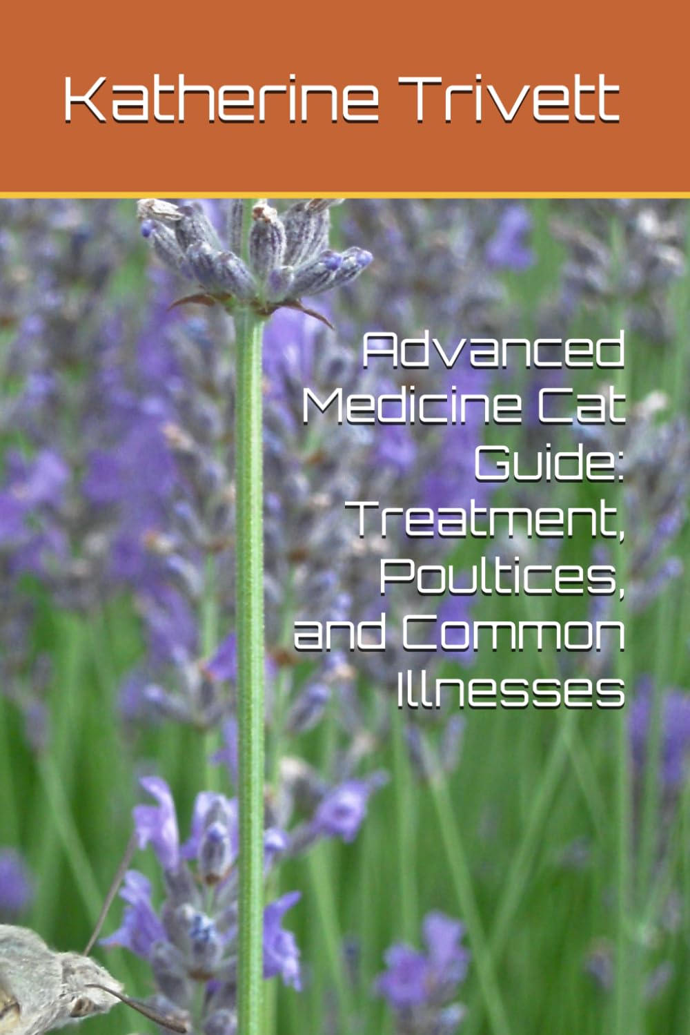 Advanced Medicine Cat Guide: Treatment, Poultices, and Common Illnesses