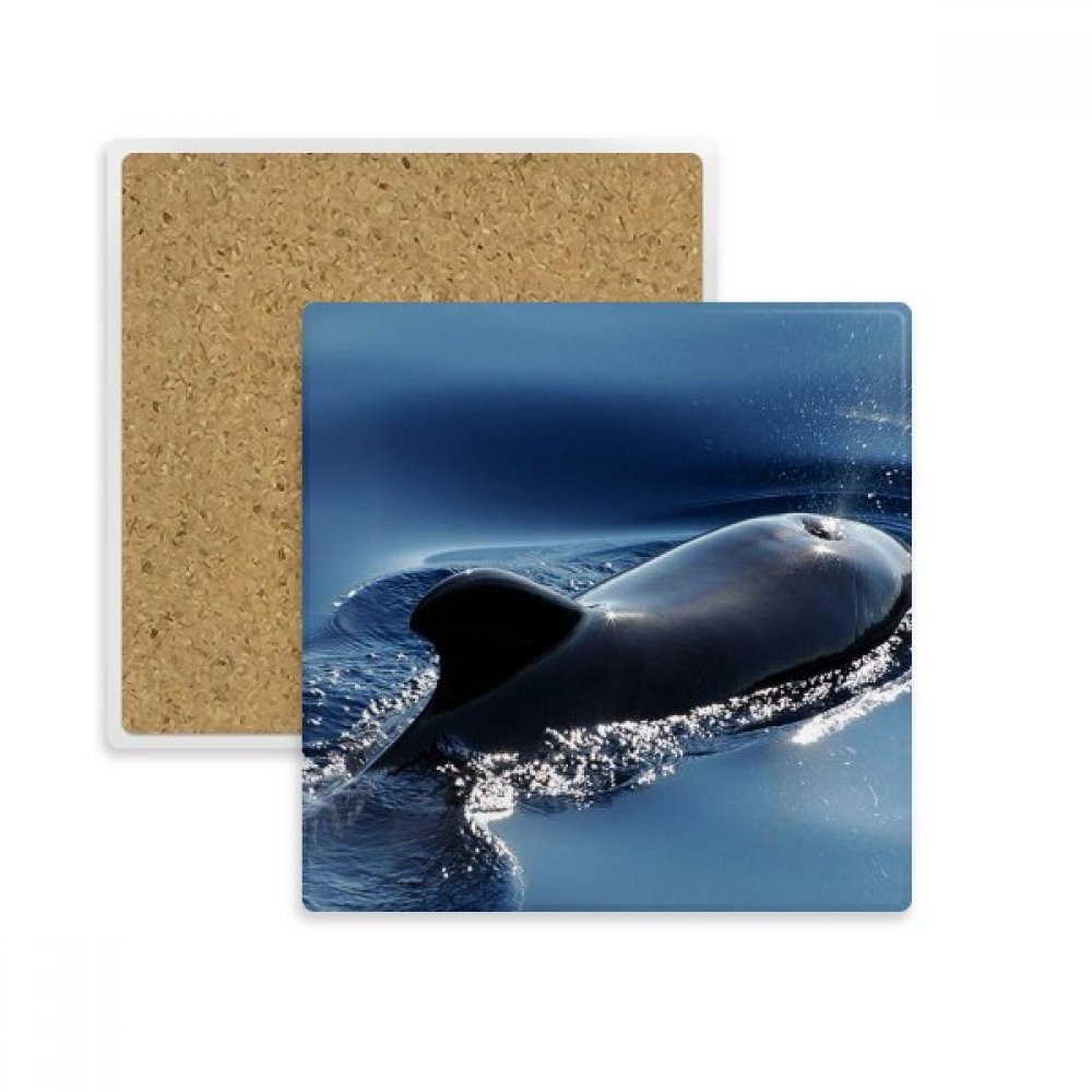 Baleine Nature Science Coaster en Pierre, le cadeau idéal de boissons