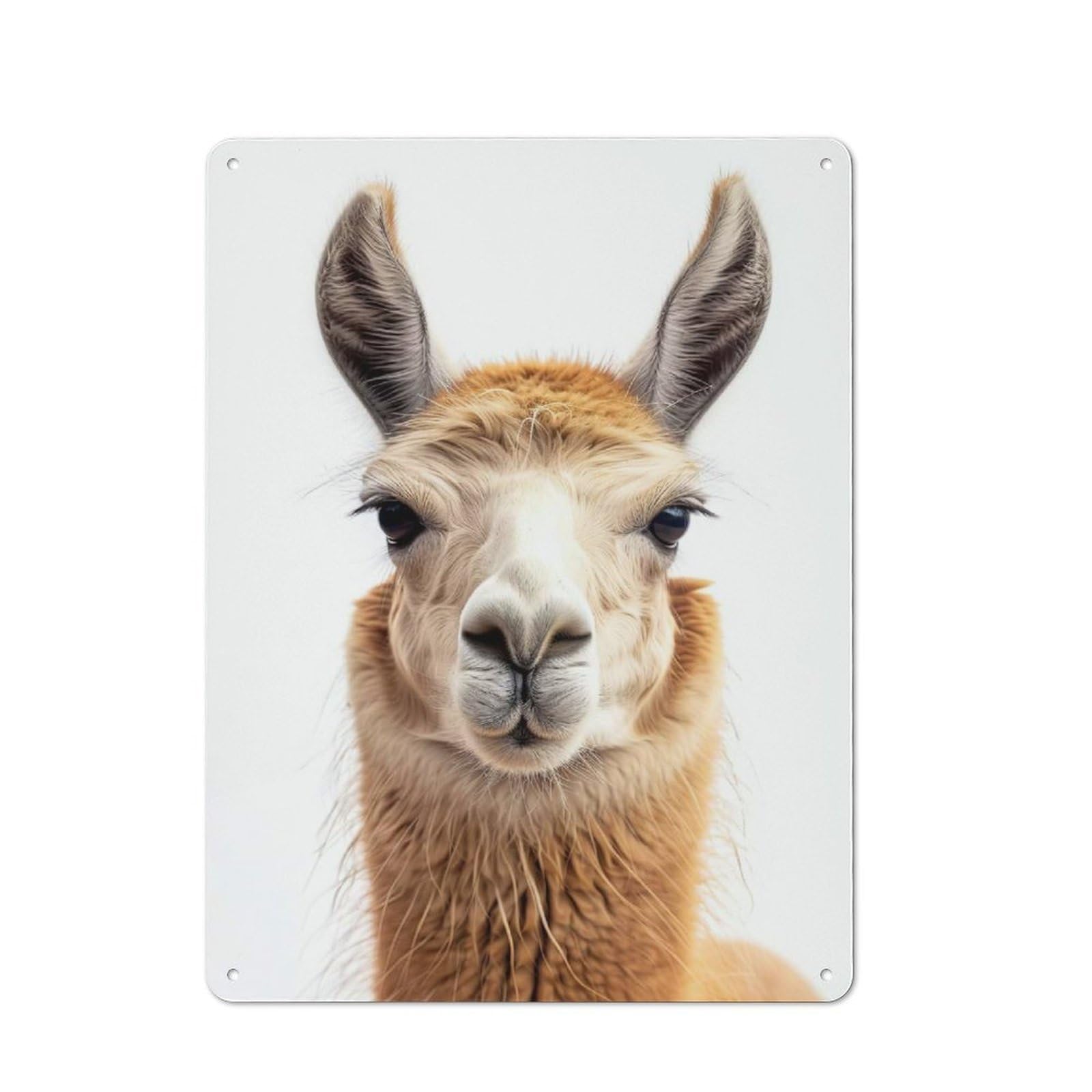 Junmoney Style-12 Tin Sign 40X30cm With Llama Face For Garage Wall, Rustic Decor, For Kitchen, Dining Room And Home Bar Wall Decor