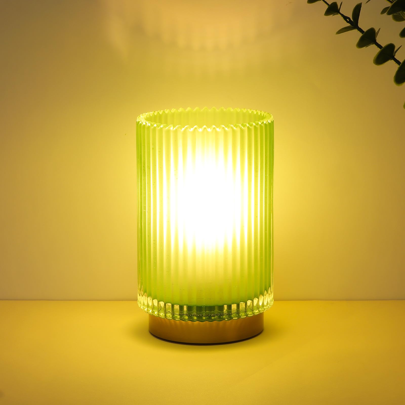 Photo 1 of Mirasium Cordless Table Lamp with Timer, Bedside Lamps with LED Warm Light