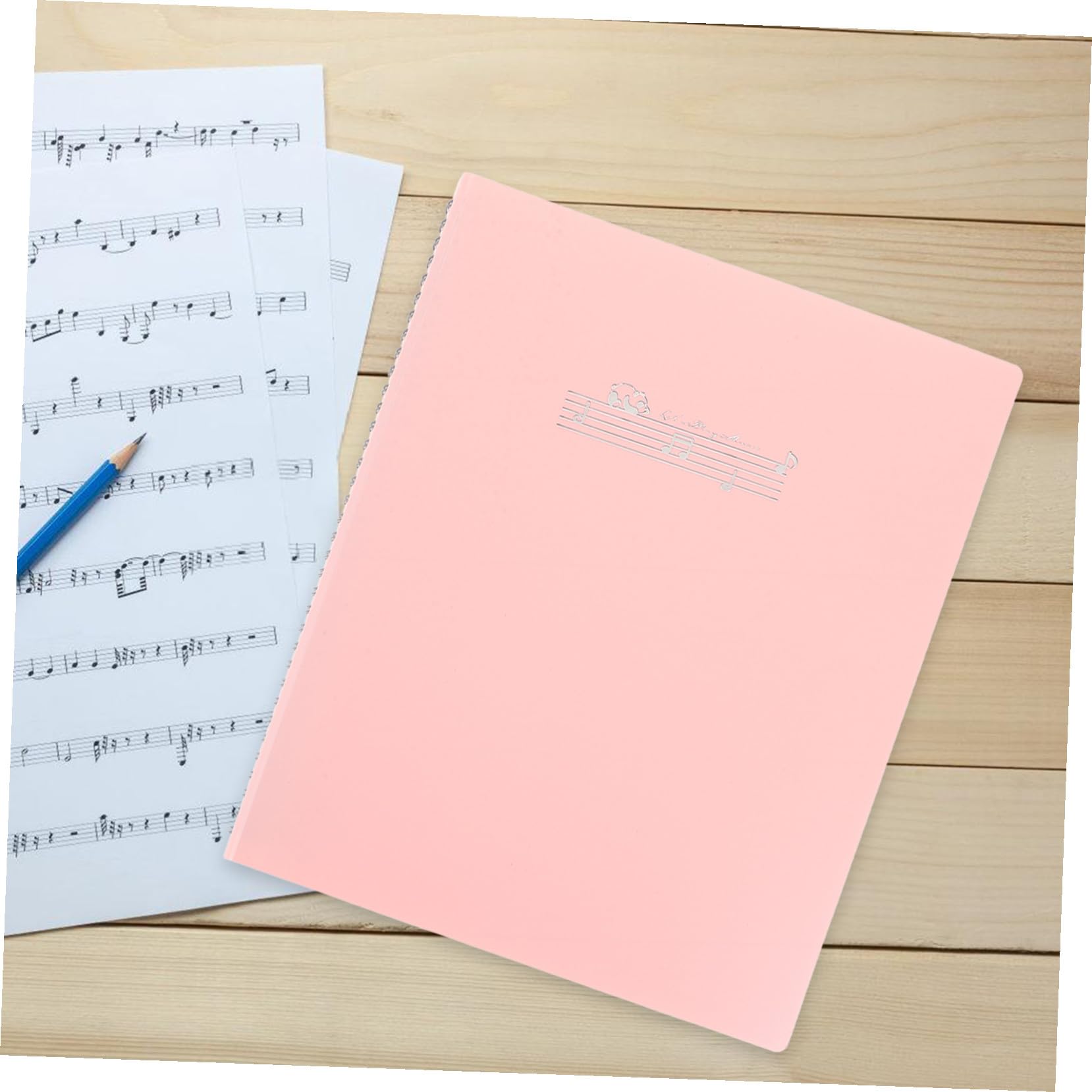Carpeta de Música Transparente A4 2 Unidades para Partituras | Pp, Almacenamiento Versátil y Práctico, para Músicos y Estudiantes, Capacidad para Numerosas Hojas A4