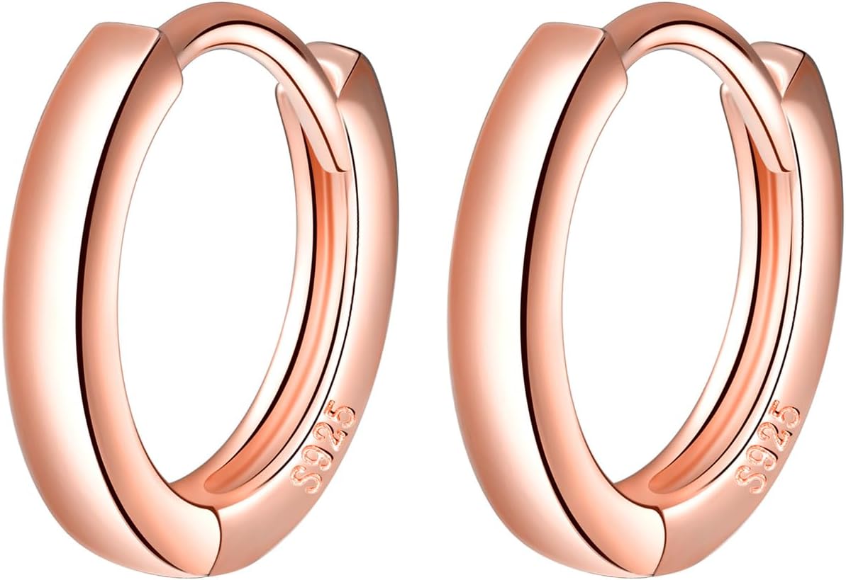 Earrings Silver 925 Hoop Earrings Small Unisex: 10 mm Women's Men's Earrings Hypoallergenic Cartilage Piercing Huggie Earring for Multiple Ear Holes – Versatile Earrings for Party Daily Work Holiday