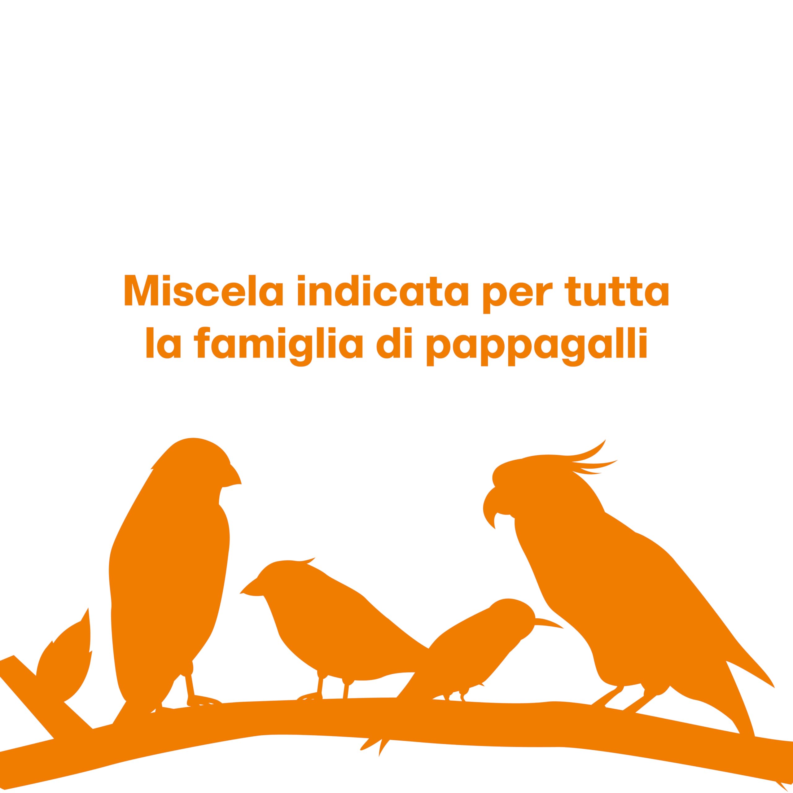 Il Contadino - Antichi Becchimi | MISCUGLIO per PAPPAGALLI Grandi | Formula Ricca di Semi Selezionati Adatta per Tutto L'Anno, No OGM, 100% Vegetale, Assenza di scarti. qualità Superiore (5 kg)