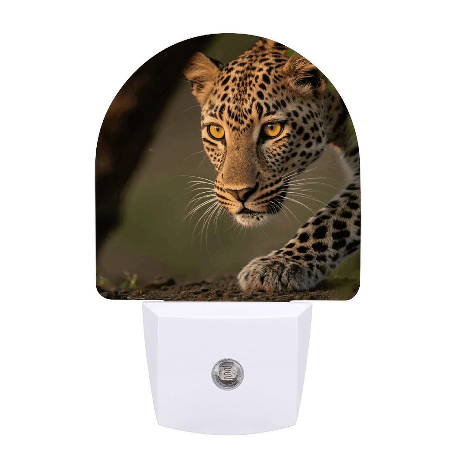 FodPand Night Light Plug Into Wall with Dusk to Dawn Sensor 0.5w Modern LED Cheetah Plug in Night Lamp Warm White Glow Nightlight for Bedroom Hallway Kitchen Bathroom Stairs Corridor(Fan)