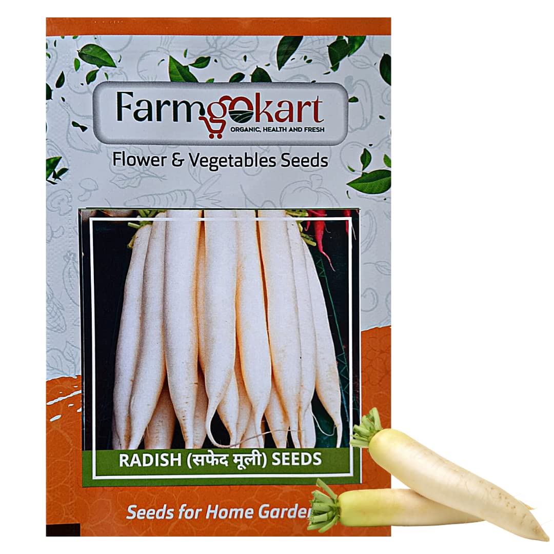 Farmgokart |RADISH SEEDS (Appx 100 Nos Seeds Per Packet) |Best Suitable For Home Gardening (B09QK9MQYK) Amazon Price History, Amazon Price Tracker
