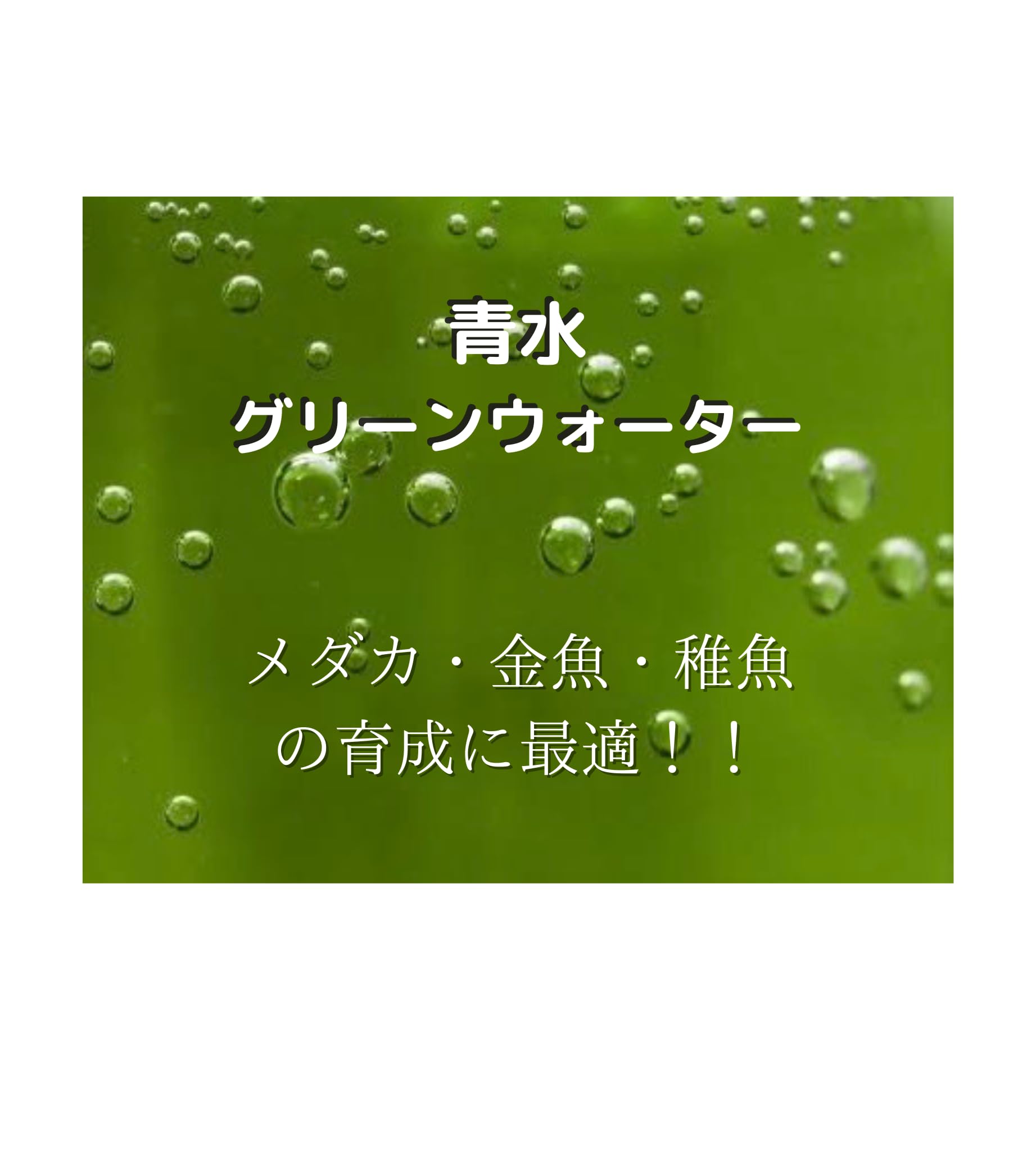 Amazon | 青水 グリーンウォーター 【1000ml】 稚魚 メダカ 金魚 水質