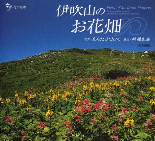 伊吹山のお花畑 花の絵本 ひでひろ あらた 忠義 村瀬 本 通販 Amazon