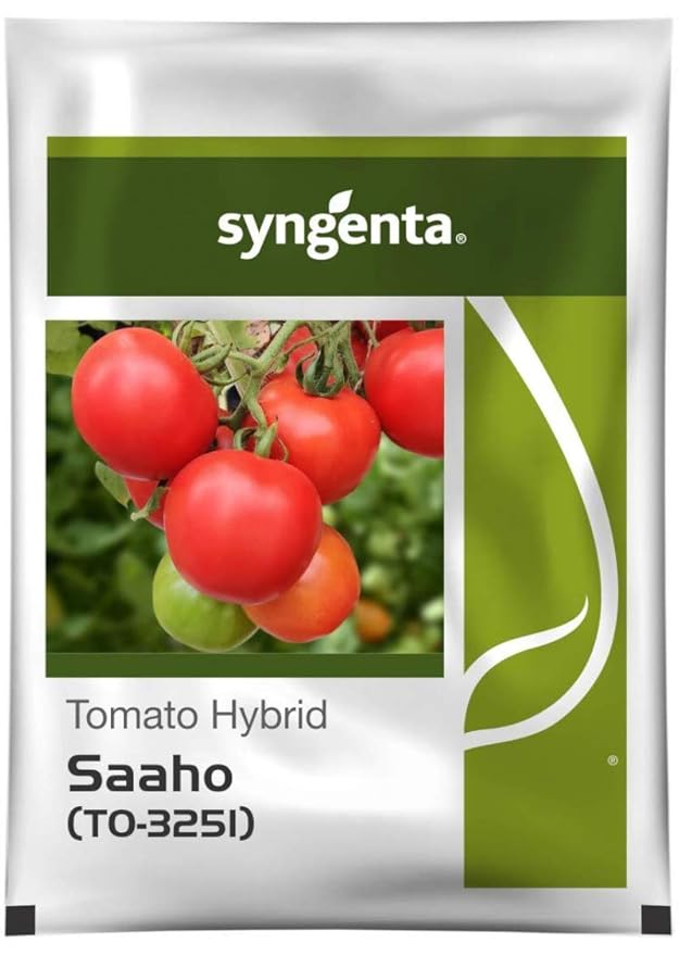 Syngenta Saaho (TO3251) Hybrid Tomato seeds, 3500SD packing Amazon