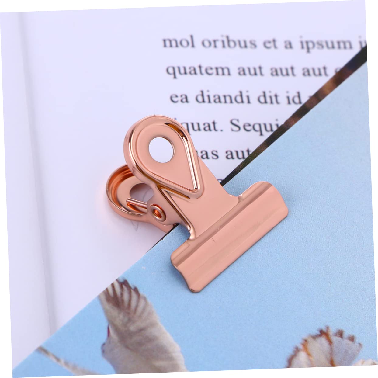 SHINEOFI 60pezzi Clip Metalliche Hinge Raccoglitori Rame Per Organizzazione Documenti e Casa