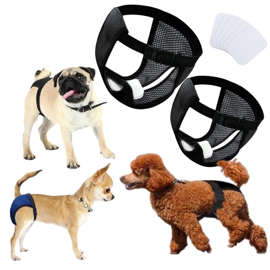 Bragas Perras menstruales.Braga Perro celo Hembra,Bragas menstruales Perro Hembra,Bragas para Perros,Bragas Perros menstruales 2 uds Incluye 6 Toallas Sanitarias, Talla S, Negro.