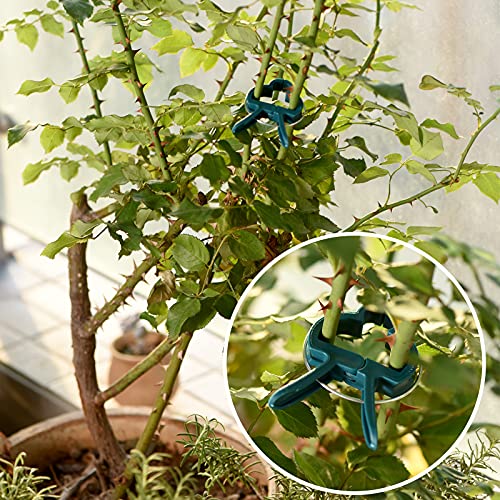 Perszen Plant Support Clips, 80 Pcs Gentle Flower Plant Clamps For Supporting Vine Climbing Plants, Gardening Lever Loop Gripper Clips Help Stems Vines Grow Straight Upright, 2 Sizes In One Pack #TOP4