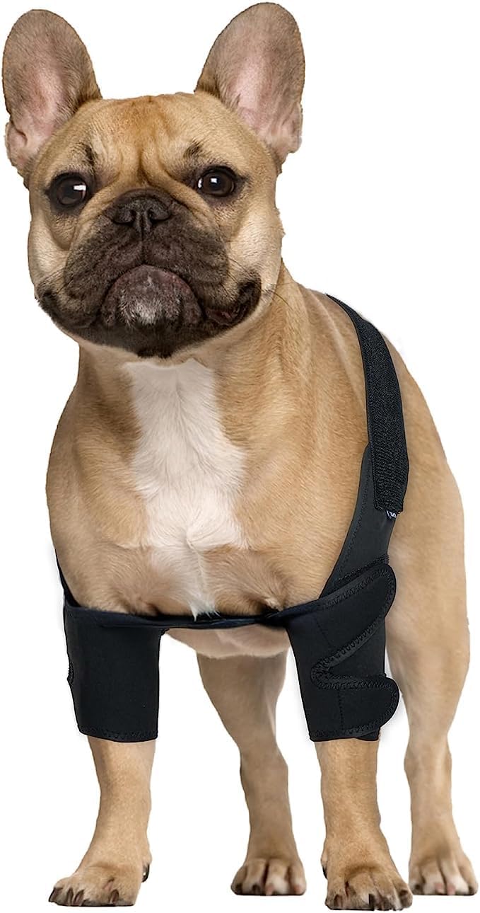 RISURRY/LISPOO Dog Elbow Braces for Offers Elbow Support