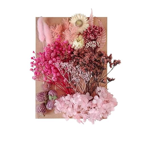 nhChޗ Ԏ  n[oE vU[uht[ hCt[ Ntg ԍރZbg ~jԃh ߑ@ׂ IWifރANZT[ibh j