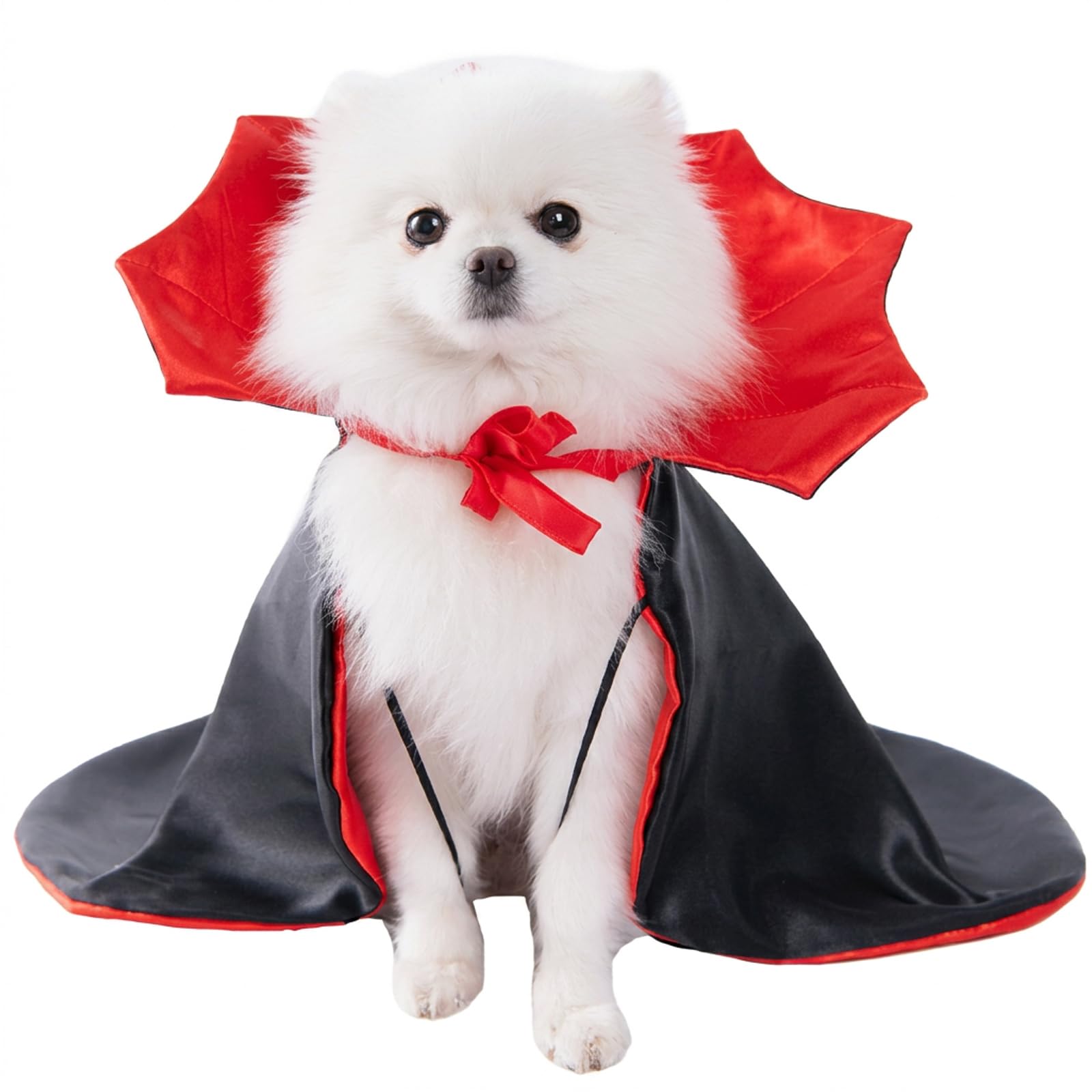 1-Piece Small Dog Halloween Costume Pet Clothes (Size S)