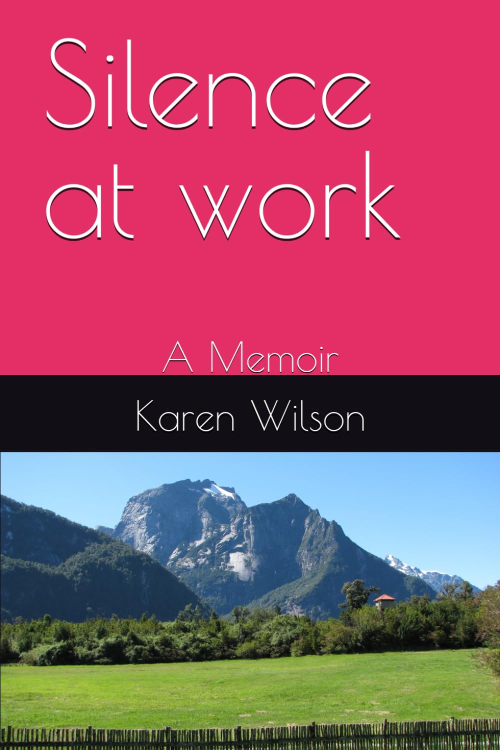 Silence at work: A Memoir