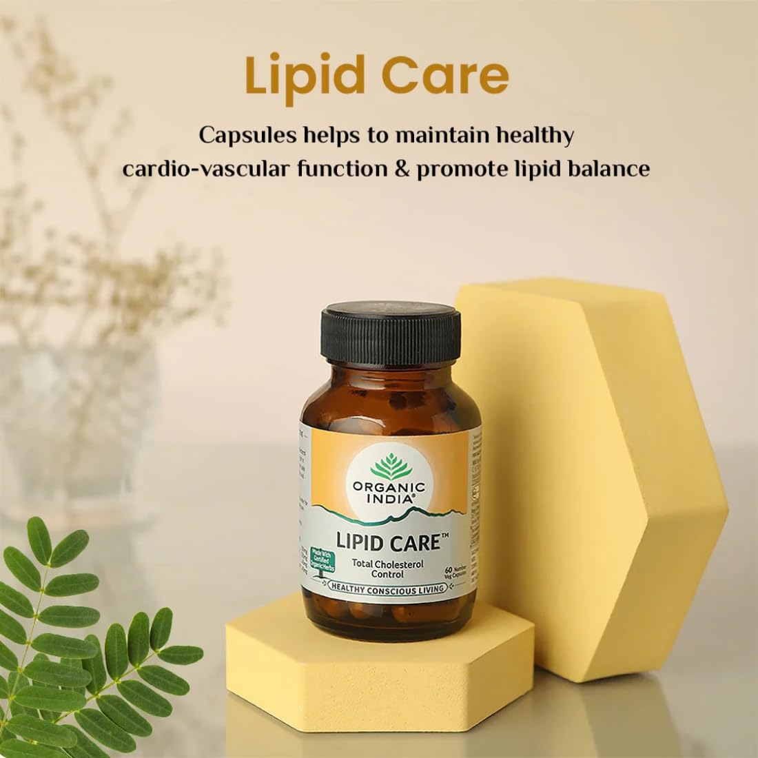 A TATA Product - Organic India Lipid Care - 60 Veg Capsules (Pack of 2), Helps In Normal Cholesterol Levels & Lipid Levels, Lower Heart Rate & Blood Pressure, Naturally Rich In Antioxidants