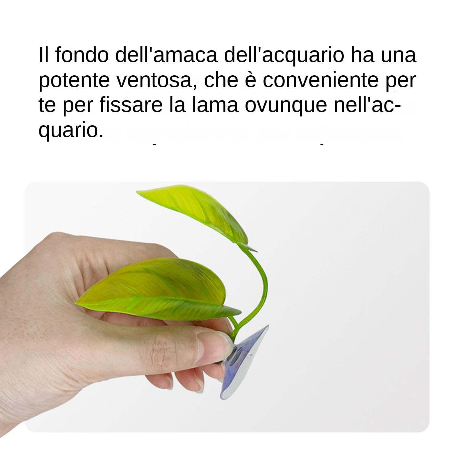 Amaca per Pesci - Foglie di Betta, Decorazioni di Foglie d'Acquario per Serbatoio | Piante d'Acquario di Pesci Betta Simulate, Decorazione Betta Acquario con Ventosa, passera Amaca per Pesci - Foglie di Betta, Decorazioni di Foglie d'Acquario per Serbatoio | Piante d'Acquario di Pesci Betta Simulate, Decorazione Betta Acquario con Ventosa, passera