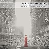 Where Are You Now (feat. Nathan O'Realey)