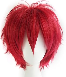 Cosplay 30cm メンズ ウィッグ 短い髪 20 色 ハンサム 男性 ふわふわ 毛 かつら コスプレ ウィッグ ダークブラウン (レッド)