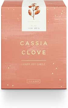 Illume Cassia Clove Small Luxe Sanded Mercury Candle