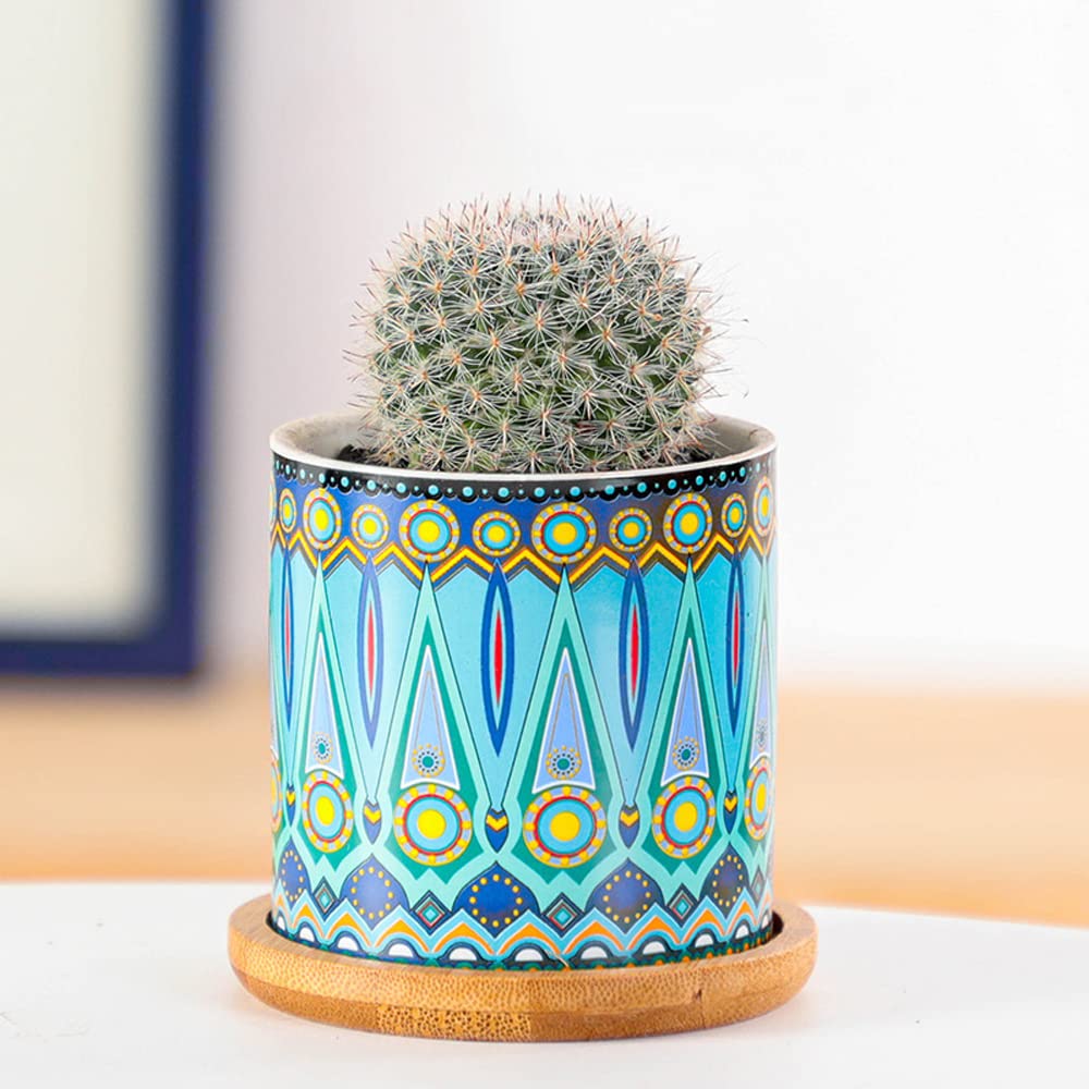 Pot de fleur pour succulente avec plateau pour éviter les fuites d'eau - 8