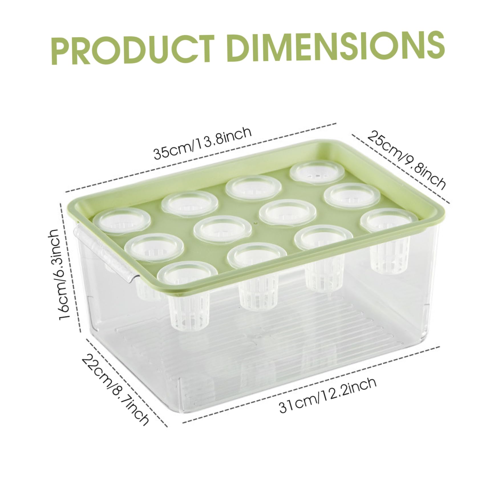 Système de Culture aquaponique hydroponique avec bac de Culture Transparent à 12 Trous et Couvercle Vert idéal pour la Maison Le Balcon ou Un Bureau.