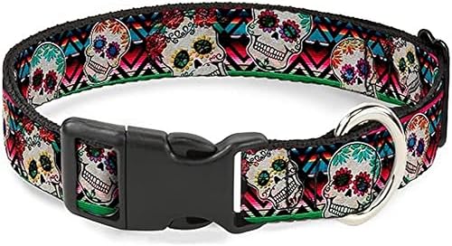 Buckle-Down Collar de clip de plástico, calavera de azúcar, multicolor Zarape, 1 pulgada de ancho, se adapta a cuello de 11 a 17 pulgadas, mediano