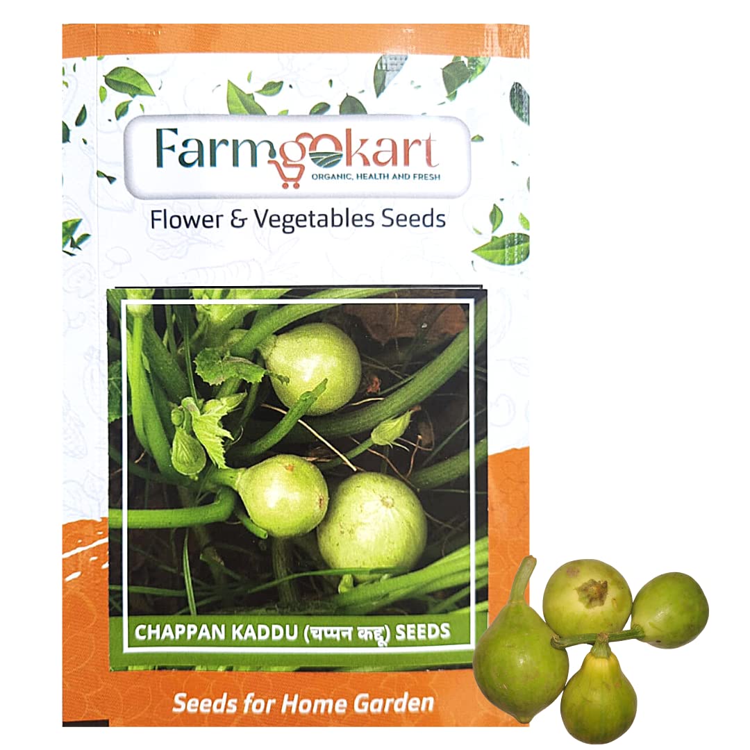 FARMGO 5 Gms - CHAPPAN KADDU SEEDS, Vegetable Seeds for Home Gardening, Farming, Hydroponics and Poly Houses (B0BX6RZVMH) Amazon Price History, Amazon Price Tracker