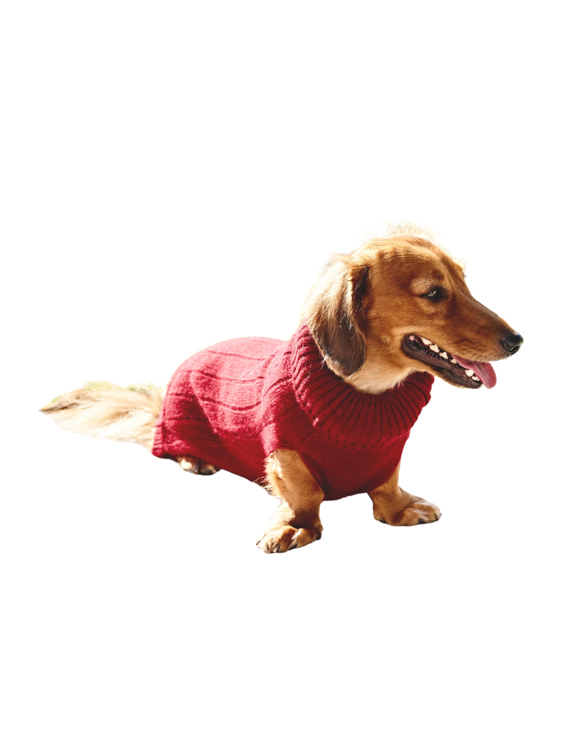 EMAAL 100% Kaschmir Hundesweater Aspen, Rot, Gestrickt, Rippenmuster, für kleine Hunde bis 35 cm Rückenlänge, weich & warm, bequem, jedes Fell, für kühle Spaziergänge oder gemütliche Abende zu Hause