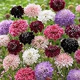 Grow Your Secret Garden