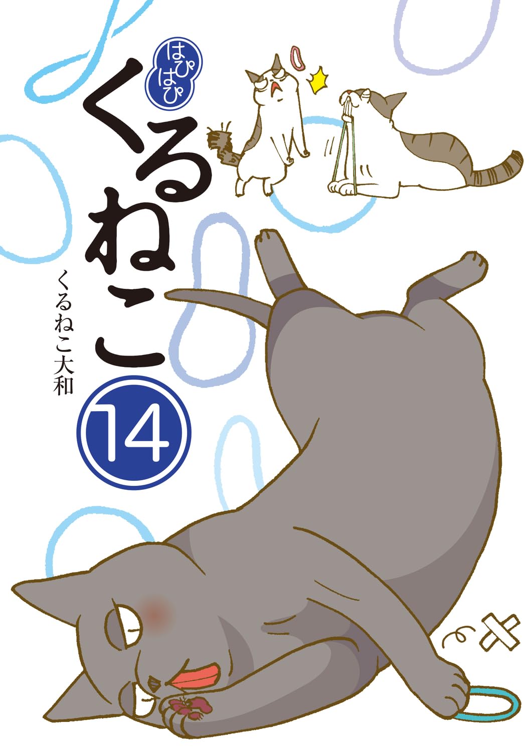Amazon.co.jp: はぴはぴ くるねこ 14 : くるねこ 大和: 本
