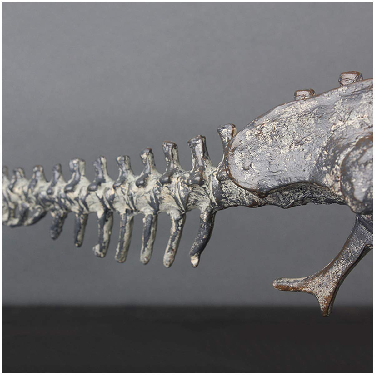 Modelo De Resina De Dinosaurio Modelo Oviraptor - Modelo De Esqueleto De Dinosaurio De Resina Cretácica Artesanía - Escultura Decorativa De Personalidad Regalo De Esqueleto De Dinosaurio Fósil