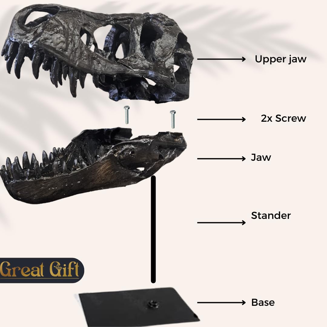 T-Rex Cráneo XXL sobre soporte de metal - Réplica - Tyrannosaurus Rex - Dinosaurio - Fósil - Decoración de lujo - 30x25 cm