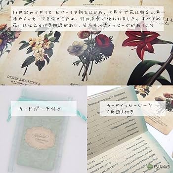 Amazon.co.jp: 【日本語解説書付き】ボタニカル インスピ