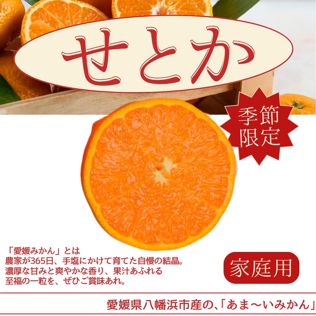 ③【愛媛県産】せとか 家庭用 10kg 愛媛県産 せとか ご家庭用10kg - 愛媛県産 せとか