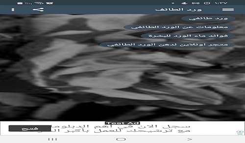 Taif responded