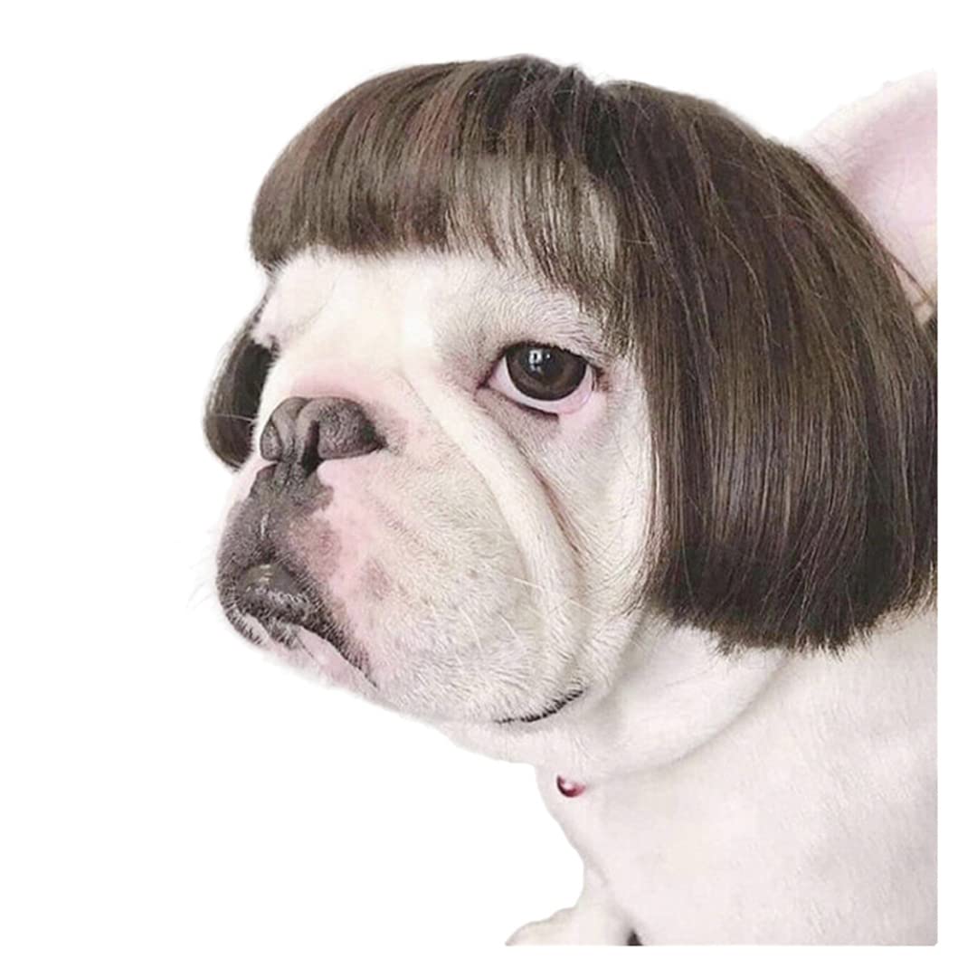 Lovelyshop huisdier Seriële Lux Bont Kat Hond Mantel voor Halloween-carnaval Kostuums, Koningin Prins en Prinses Cosplay-Rood XL