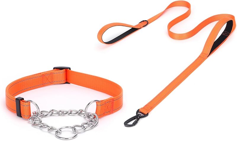 Coleira Martingale para Cães com Corrente de Aço Inoxidável e Refletiva Pimaodog, Ajustável, Laranja (L)