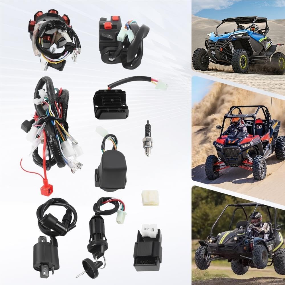 Motor kabelbaum Für QUAD 125-250CC Diesel Motorkabelbaum