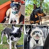 PETLESO Hundebrille Hundeschutzbrille Hunde Sonnenbrille Anti-UV Schutz Augenschutz für Kleine/Mittelgroße Hunde
