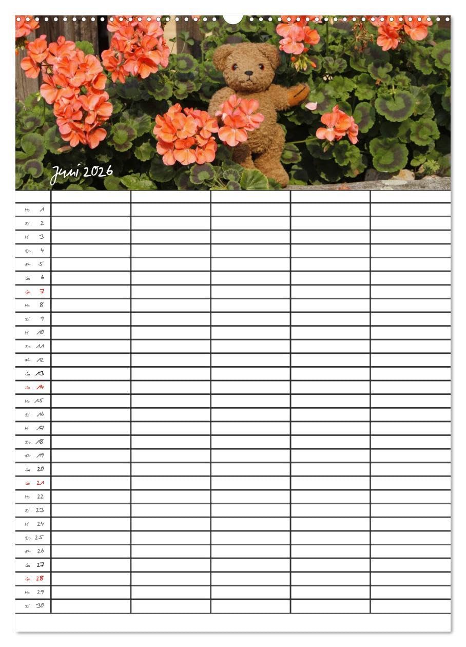 Der Teddybären-Familienplaner (hochwertiger Premium Wandkalender 2026 DIN A2 hoch), Kunstdruck in Hochglanz: Teddy KramBam und seine bärigen Freunde (CALVENDO Spass)